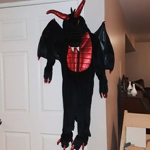 Dragon costume